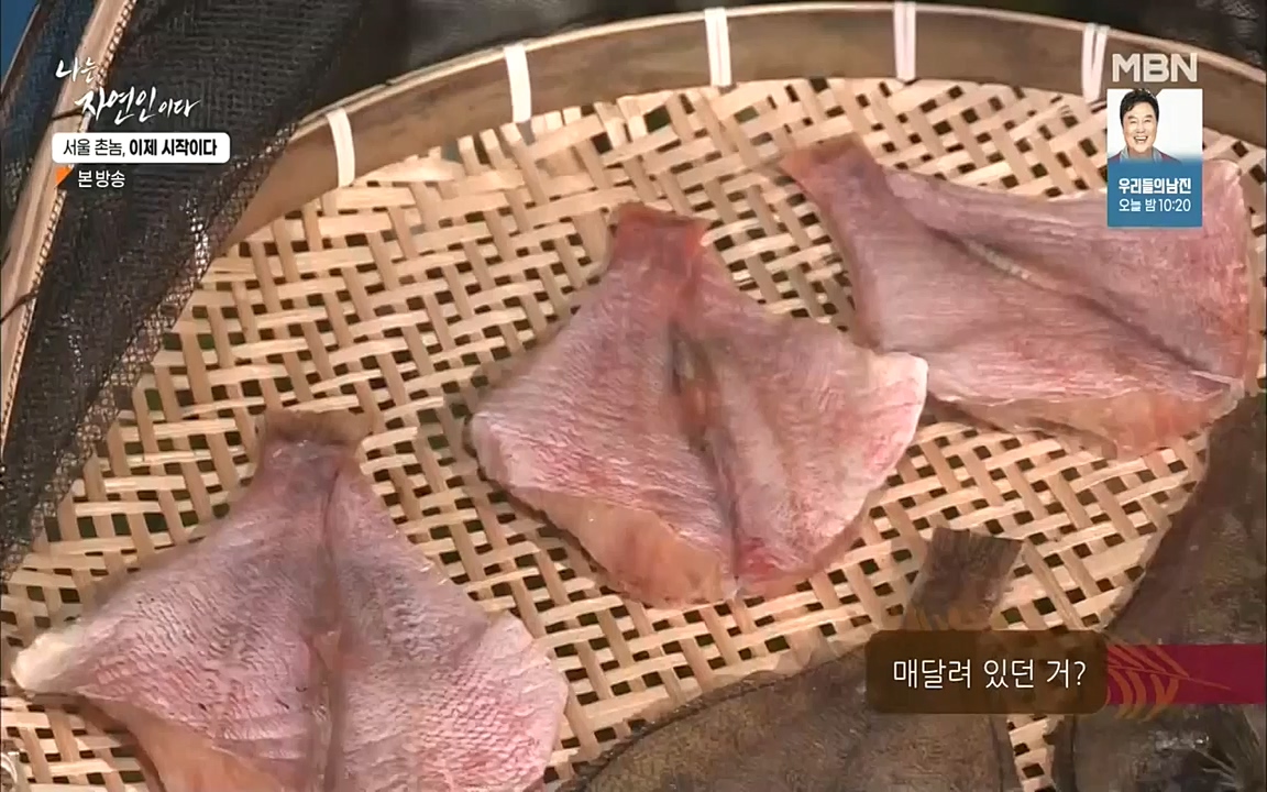 나는 자연인이다.E521.220928.H265p-BULDU.mp4_20220930_210340.934.jpg
