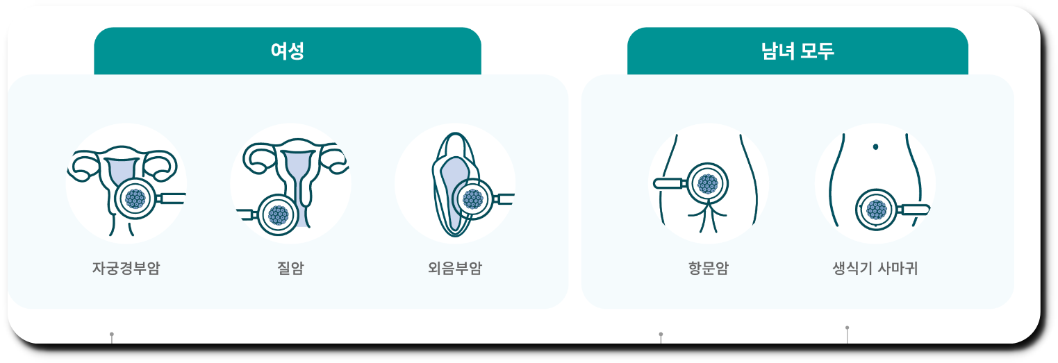 가다실 예방 질환