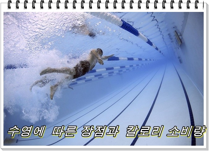  수영에 따른 장점과 칼로리 소비량