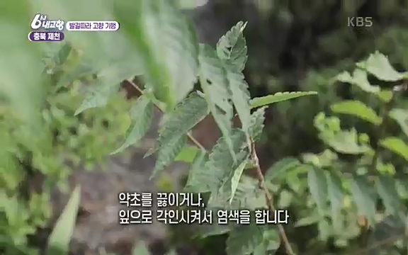 [7612회] 6시 내고향 - KBS7612회] 6시 내고향.ts_20220912_173535.959.jpg