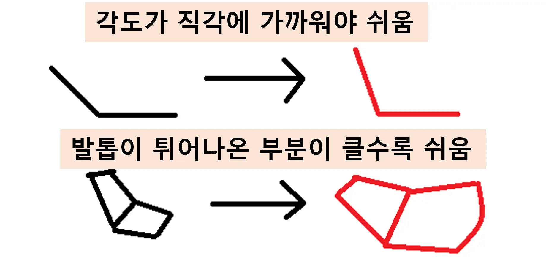 발톱의 모양과 튀어나온 크기에 따라 난이도가 달라짐 2