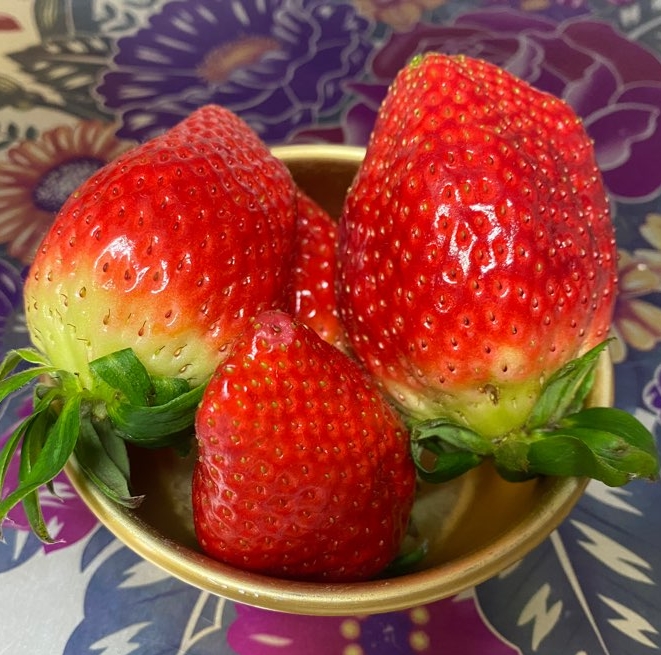  킹스베리 딸기 할인딜 찬스요