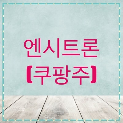  엔시트론 주가, 전망 (101400)