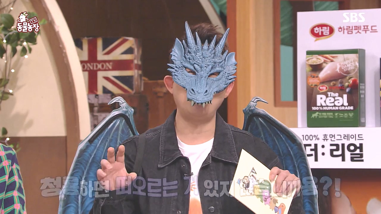 TV 동물농장.E1153.240108p-NEXT.mp4_20240107_173815.756.jpg