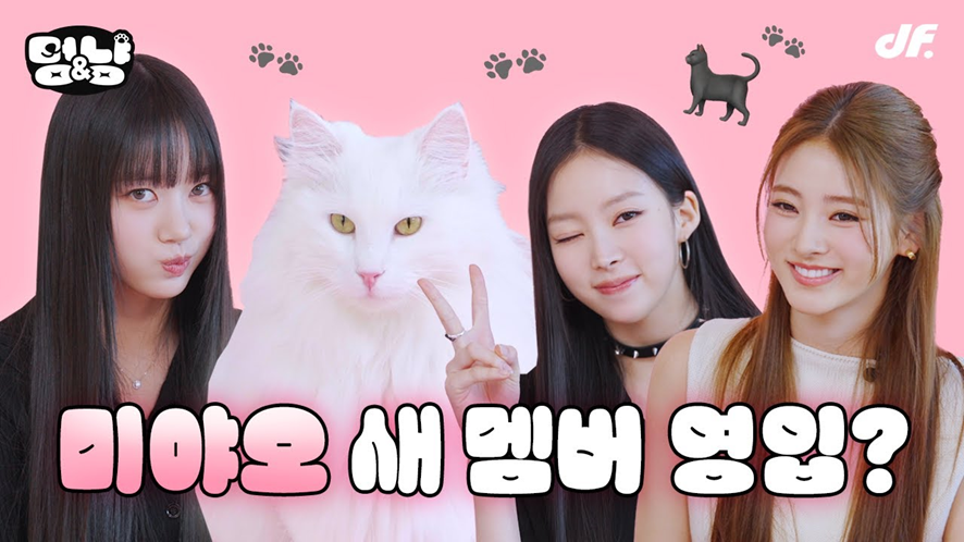 신비주의 컨셉 버렸다는 미야오 근황 | 인스티즈