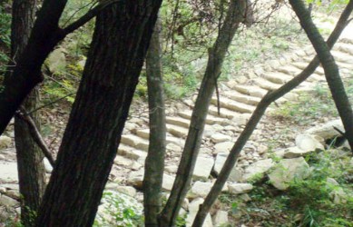 산음자연휴양림 예약 가이드: 숲나들e로 손쉬운 예약 방법 체크포인트