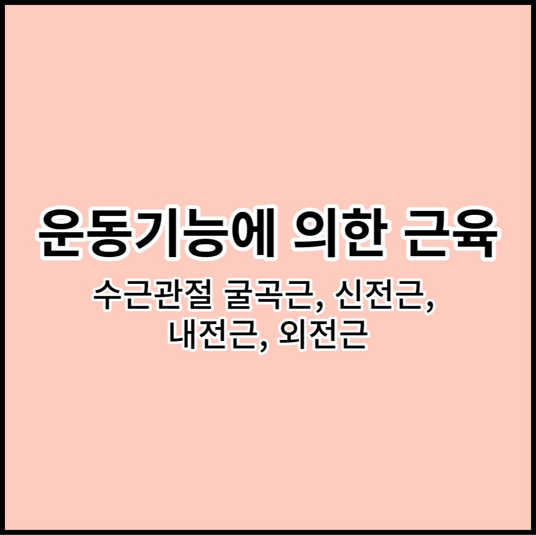 해부학 상지의 운동기능에 의한 근육: 수근관절 굴곡근&#44; 신전근&#44; 내전근&#44; 외전근