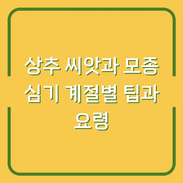 상추 씨앗과 모종 심기 계절별 팁과 요령