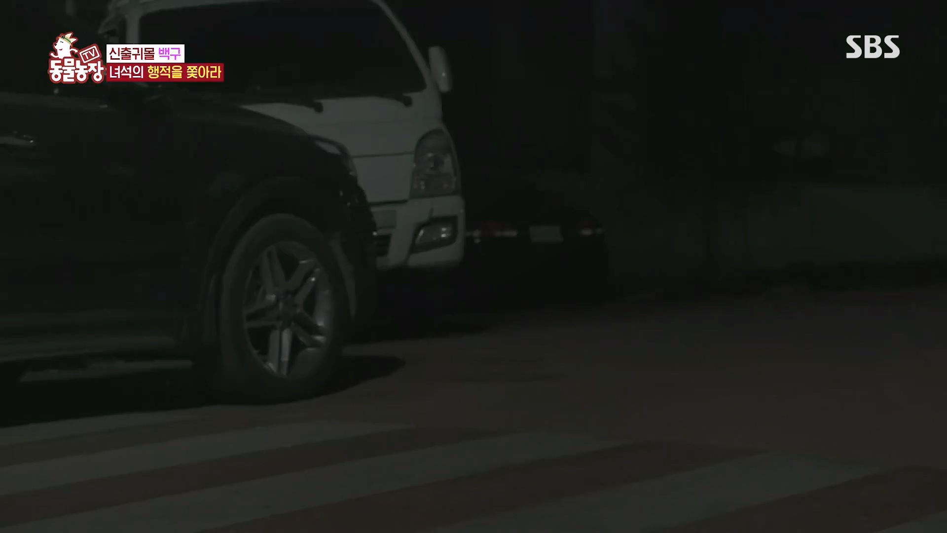 TV 동물농장.E1118.230430p.H264-F1RST.mp4_20230430_172340.602.jpg
