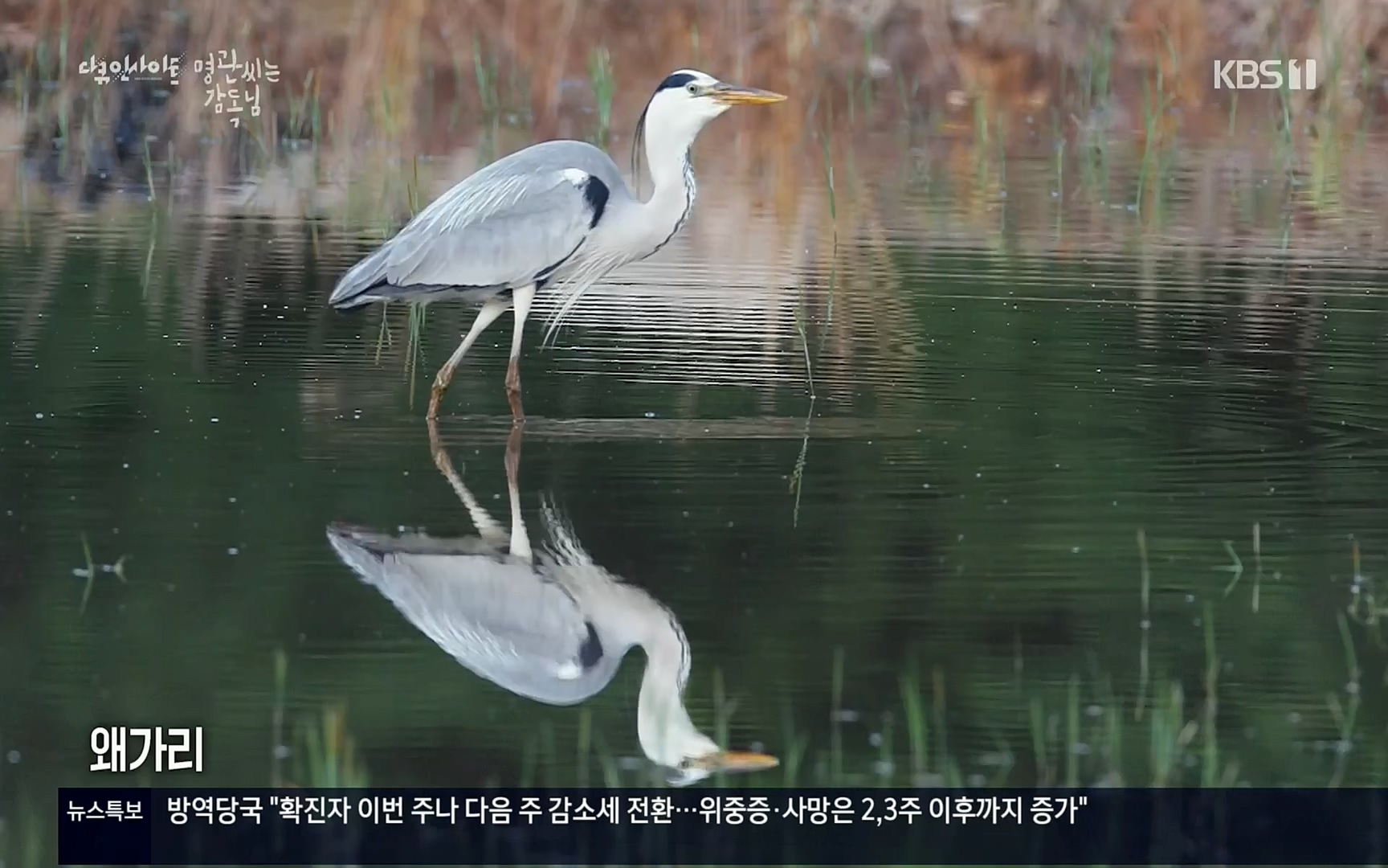 다큐 인사이트.E122.220825p.H264-F1RST.mp4_20220826_152314.432.jpg