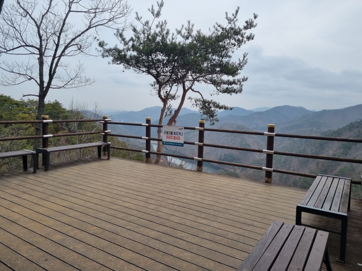 전망대