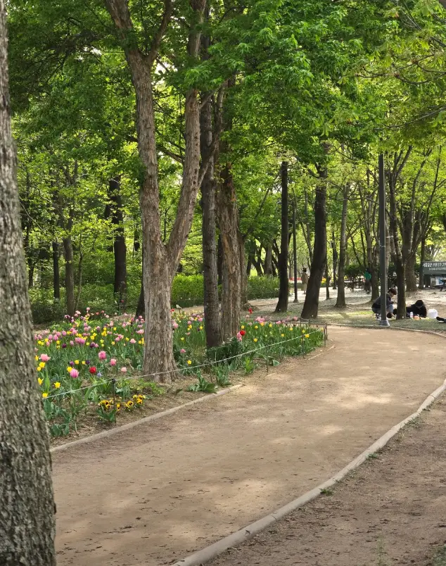 서울숲2