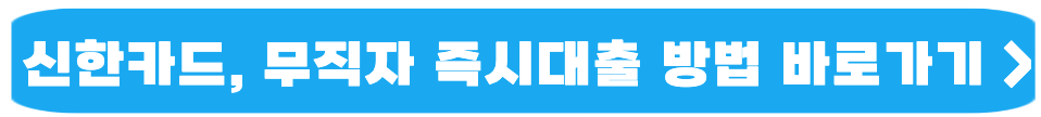 수협 새희망홀씨 정부지원대출 4