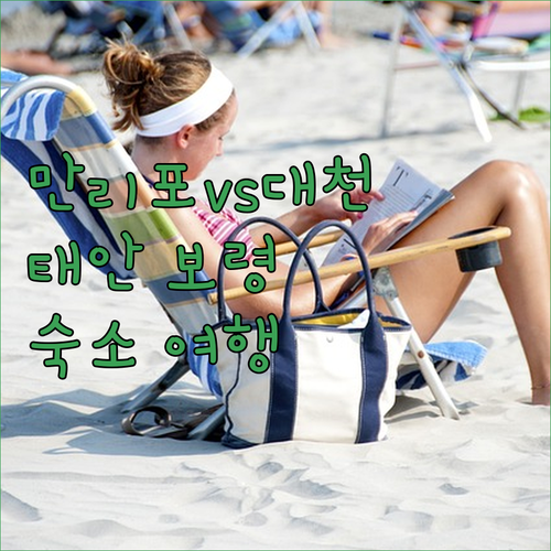 만리포 vs 대천? 취향따라 떠나는 