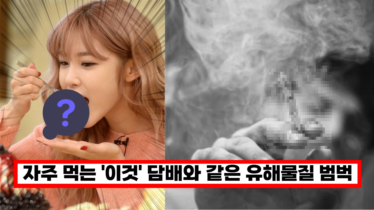  '맛있어서 매일 먹었는데' 세계 보건 기구가 정한 1급 발암 물질로 분류한 이 음식