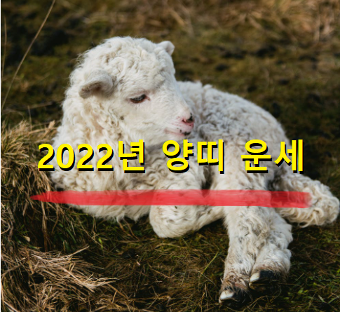  2022년 양띠 운세 20세, 32세, 44세, 56세, 68세 나이별 양띠 운세