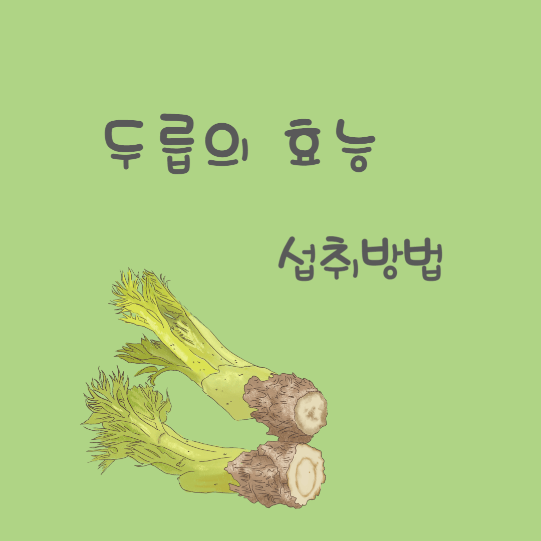 두릅의-효능