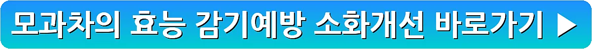 모과차의 효능 감기예방 소화개선_19