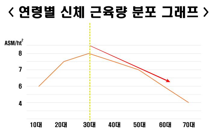  노화를 막기 위해서는 근육 운동으로 근감소증 관리해야 한다.