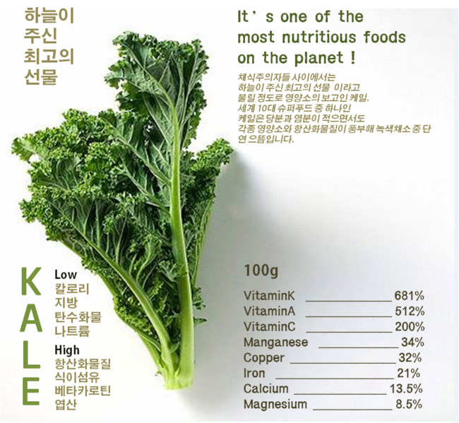 케일-항산화-작용과-해독-효과가-뛰어난-최고의-슈퍼푸드