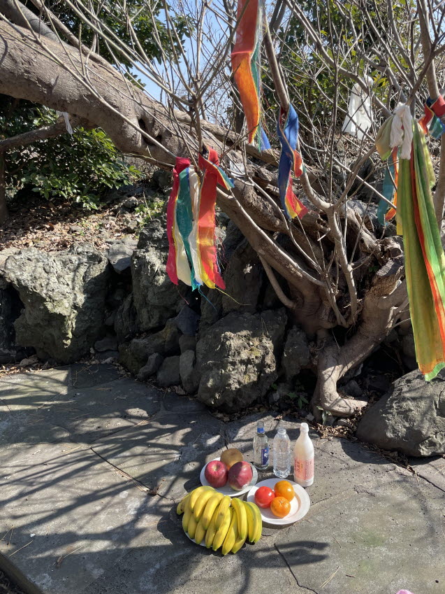 9일기도 제주도 기도 6