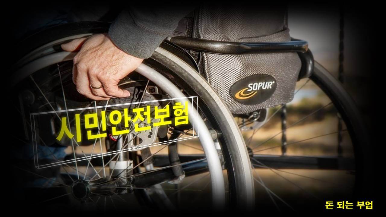  시민안전보험에 지자체는 가입했나요