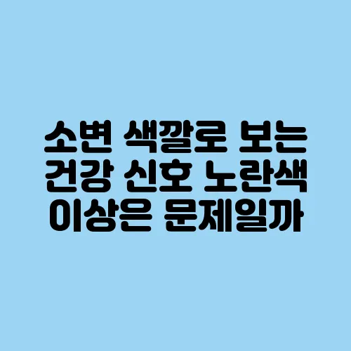 소변 색깔로 보는 건강 신호 노란색 이상은 문제일까