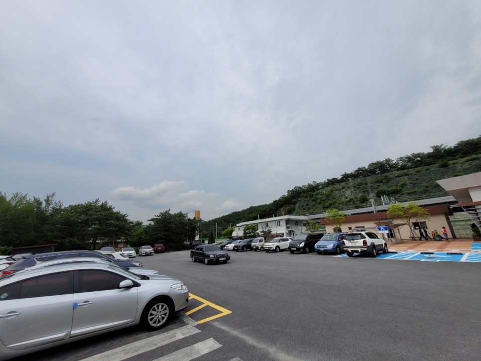 신해운대역 단양에서 부산으로 한방에 12