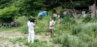가평타임즈 가평뉴스 타임즈 가평팩트 가평나우 비교_3