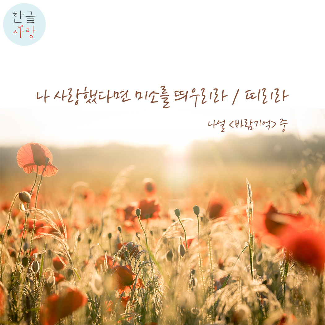  띠다 / 띄다에 대해서 알아봅시다.