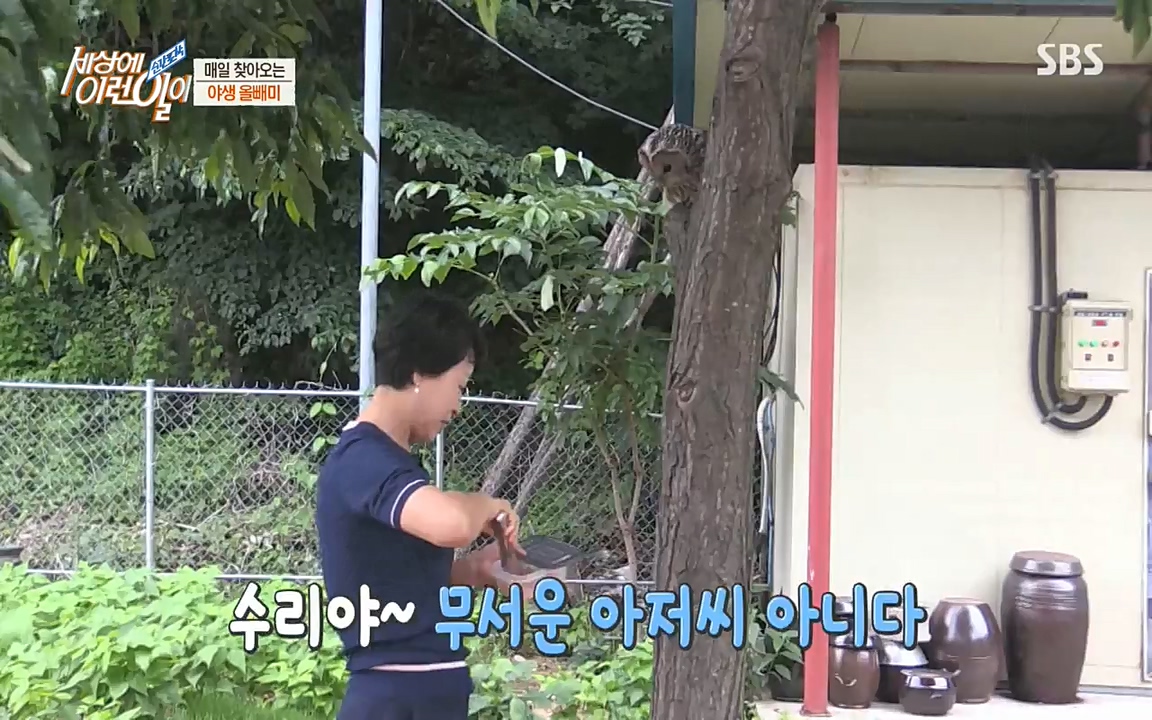 순간포착 세상에 이런일이.E1189.220720p-NEXT.mp4_20220720_200919.290.jpg