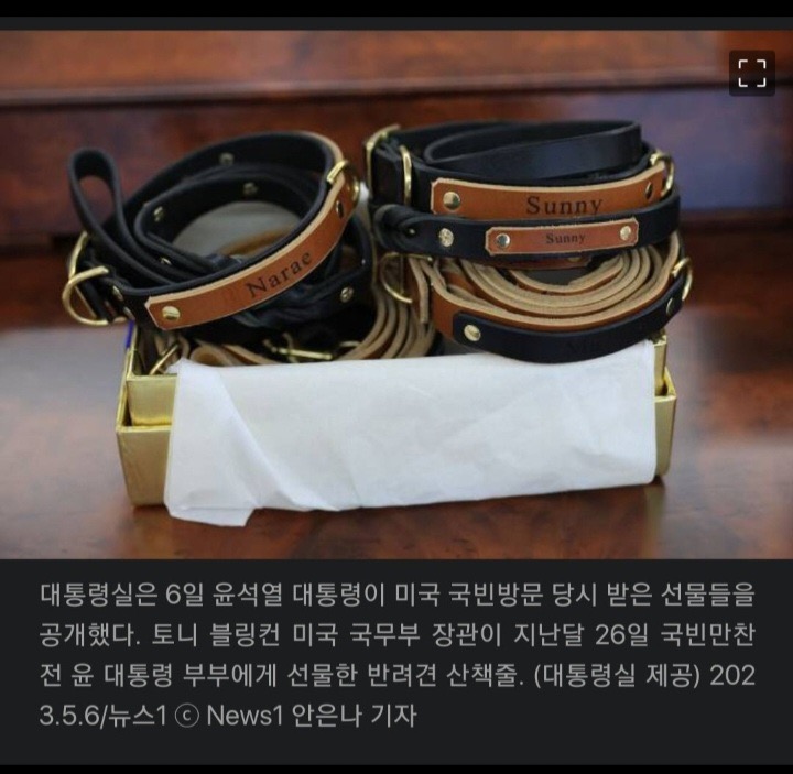  룬대통령 loon 뜻