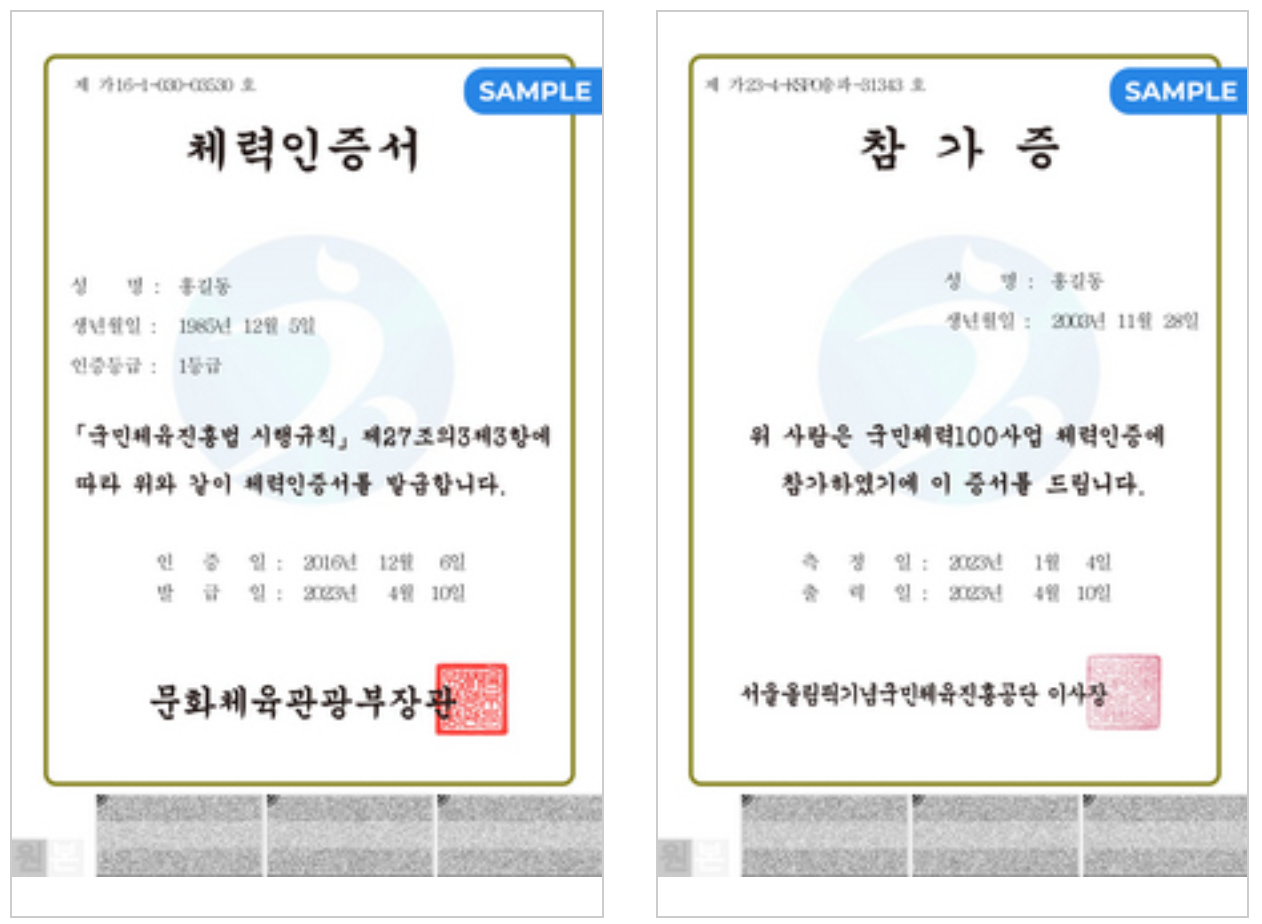 국민체력100 인증서 예시