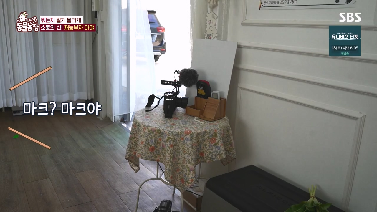TV 동물농장.E1145.231113p-NEXT.mp4_20231112_173433.127.jpg
