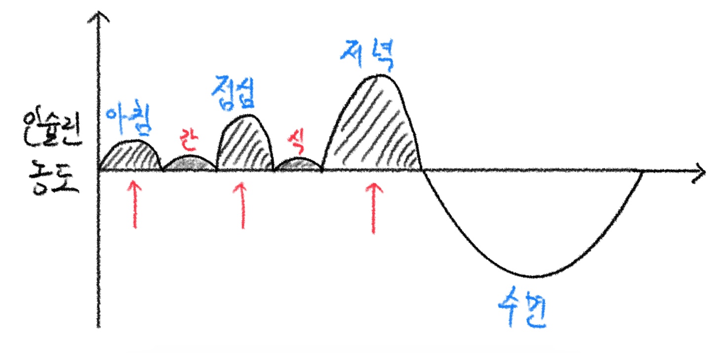 인슐린_농도_그래프_비정상