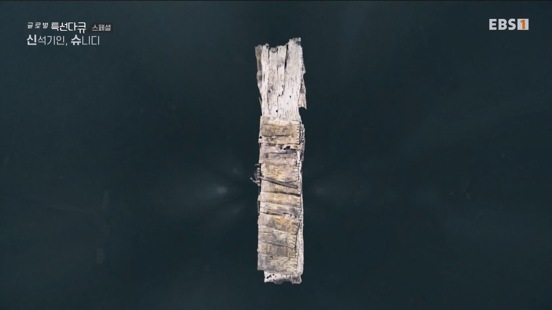 [다큐 스페셜] 신석기인, 슈니디.mp4_20230820_110533.568.jpg