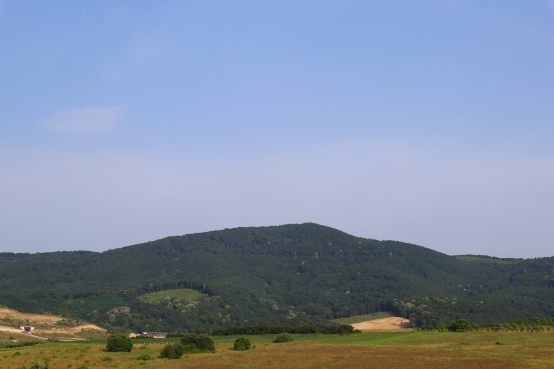 'Hiilsstate'