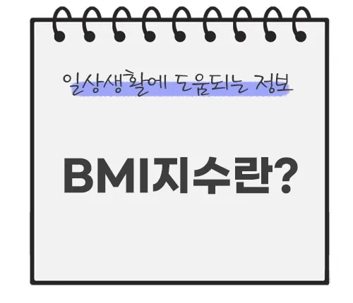 bmi지수