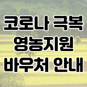  2021년 코로나 극복 영농지원 바우처, 소규모 농가 경영지원 바우처 대상 지원방법