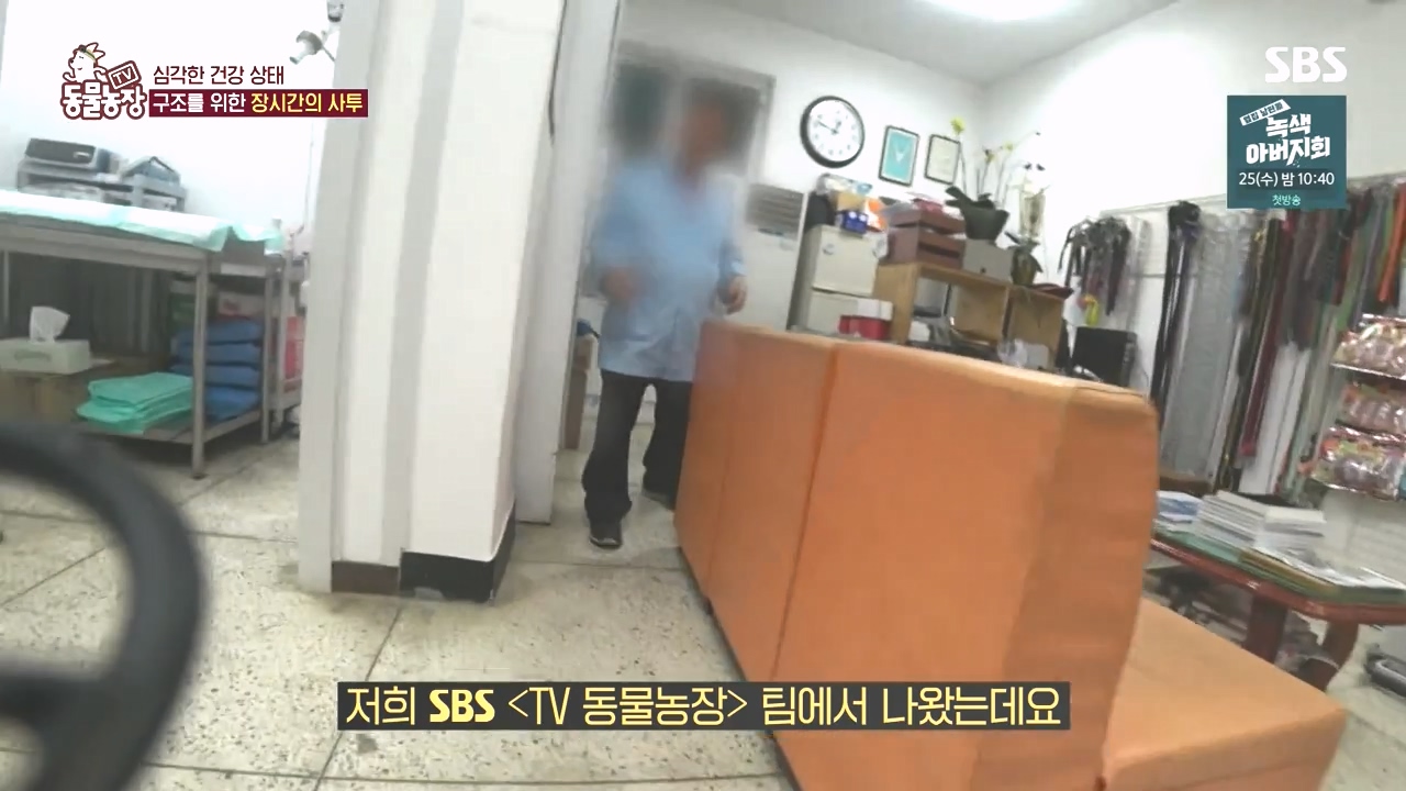 TV 동물농장.E1142.231023p-NEXT.mp4_20231022_172927.936.jpg