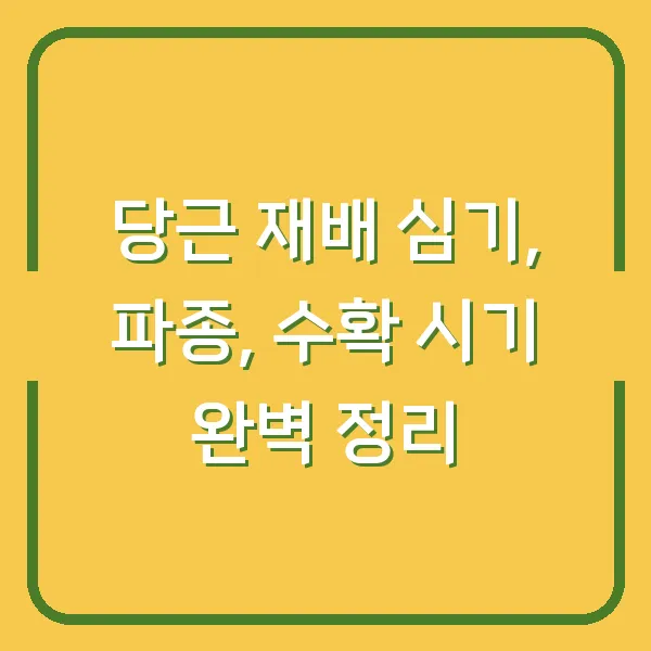 당근 재배 심기, 파종, 수확 시기 완벽 정리