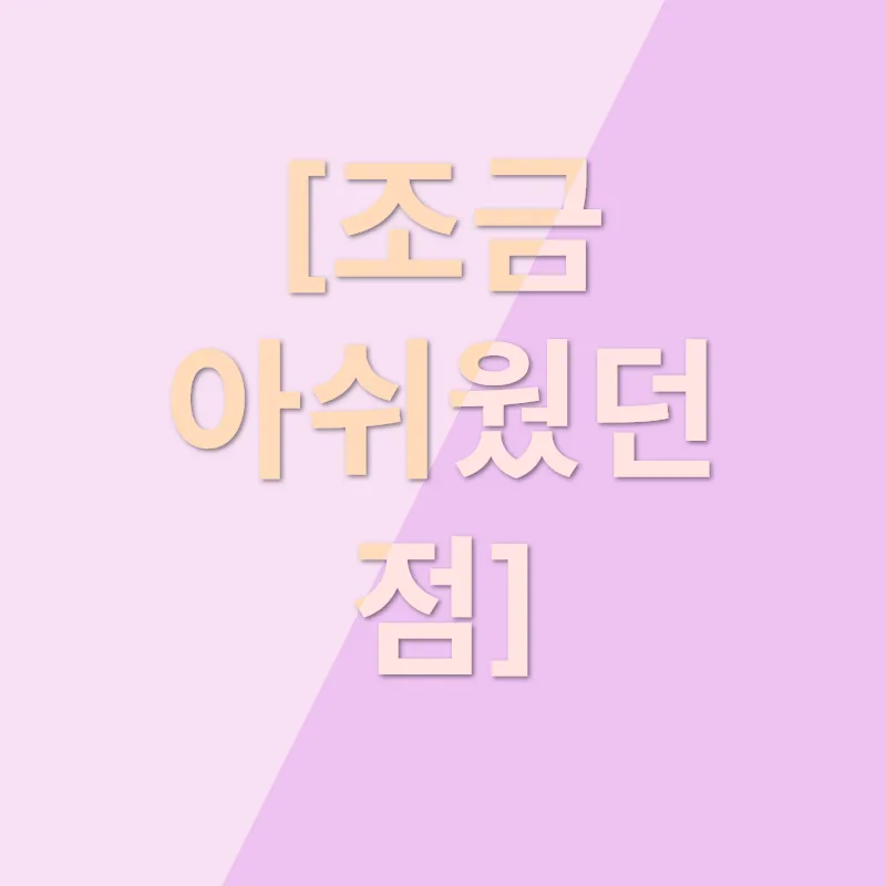 테무 쇼핑 리뷰_3