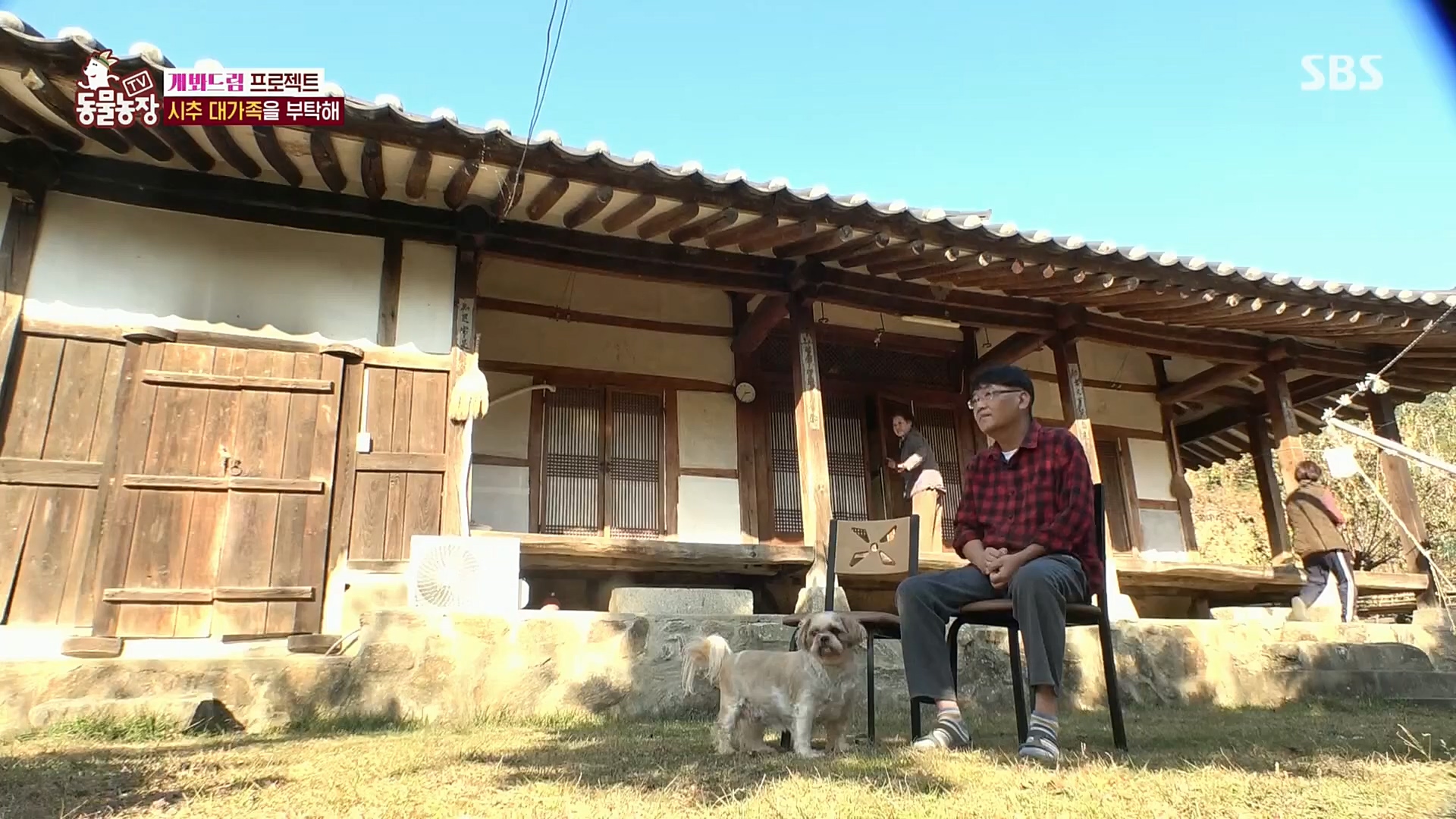 TV 동물농장.E1102.230101p.H264-F1RST.mp4_20230101_182847.150.jpg