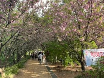 전주 완산칠봉 꽃동산 등산로 벙커 코스_11