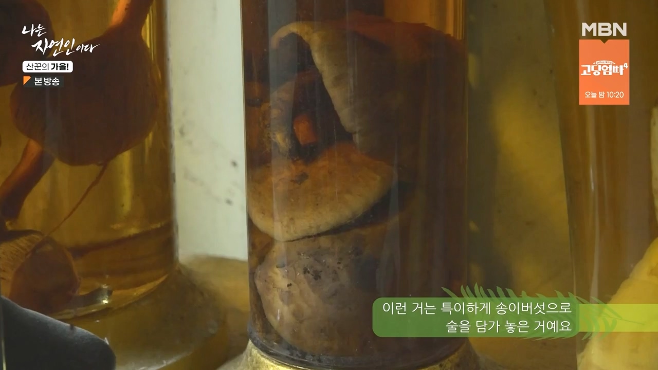 나는 자연인이다.E574.231005p-NEXT.mp4_20231005_200550.254.jpg