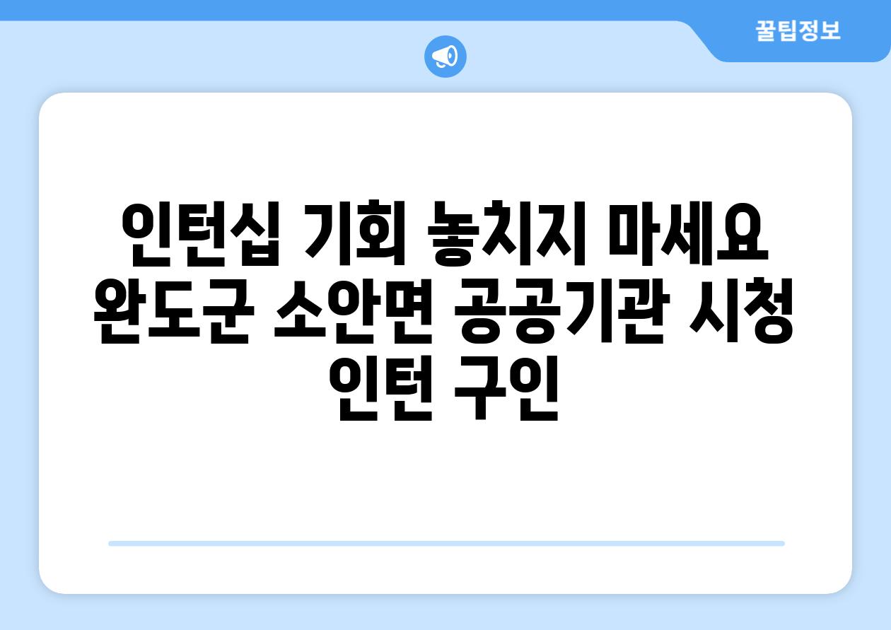 인턴십 기회 놓치지 마세요 완도군 소안면 공공기관 시청 인턴 구인