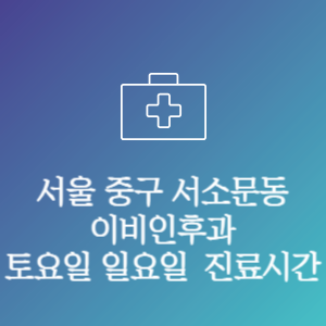 서울 중구 서소문동 이비인후과 주말 토요일 일요일 문여는 병원 진료시간