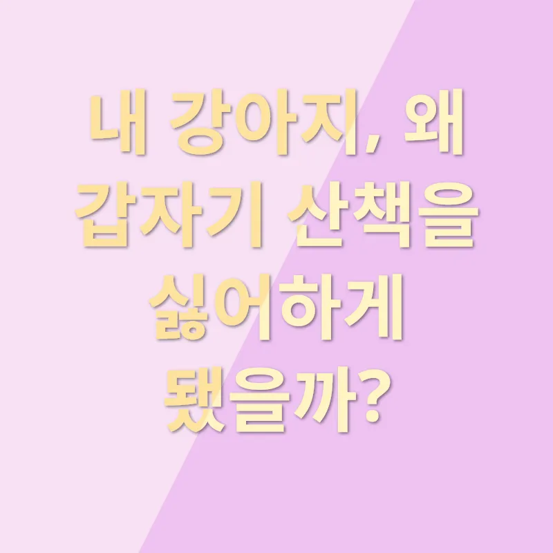 반려동물 건강 관리_1