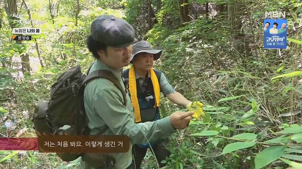나는 자연인이다.E561.230705p.H264-F1RST.mp4_20230706_213032.234.jpg
