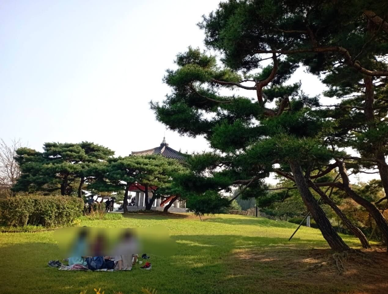 잔디에-돗자리-깔고-간식먹는-모습